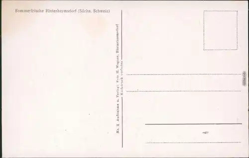 Ansichtskarte Hinterhermsdorf-Sebnitz Ferienheim Sommerfrische 1960