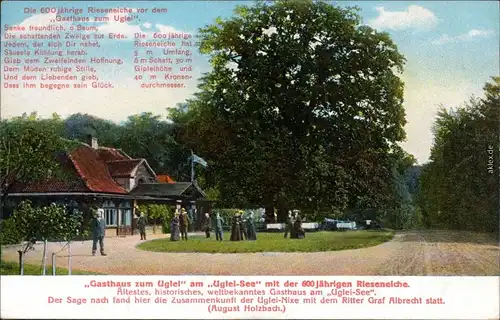 Ansichtskarte Eutin 600 jährige Eiche vor dem Gasthaus 1908 