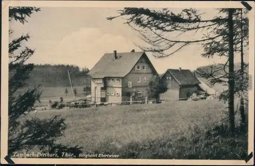 Ansichtskarte Tambach-Dietharz Berghotel Ebertwiese 1965 