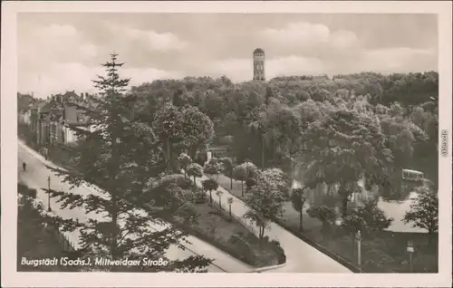Ansichtskarte Burgstädt Mittweidaer Straße 1951