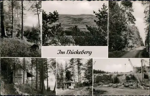 Ansichtskarte Bückeburg Waldmotive, Übersicht, Hütte, Steinbruch 1962