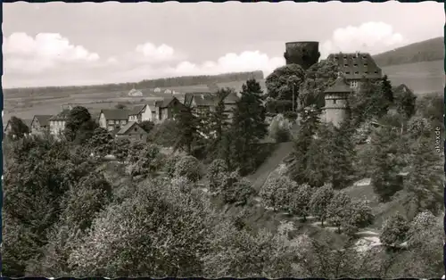 Ansichtskarte Trendelburg Burg Trendelburg 1960