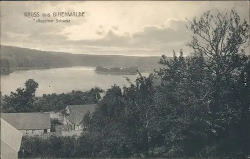Ansichtskarte Binenwalde-Neuruppin Stadtpartie und See 1912 