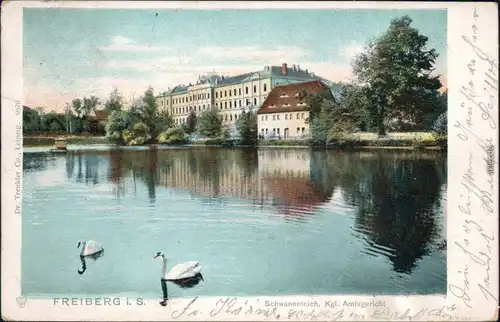 Ansichtskarte Freiberg (Sachsen) Schwanenteich und Amtsgericht 1905 