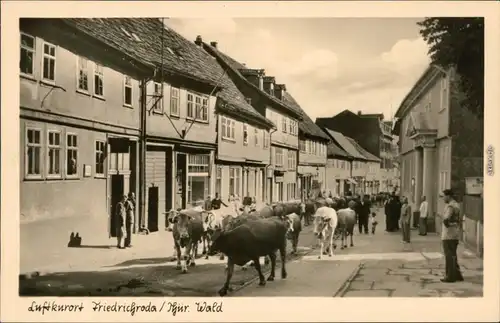 Ansichtskarte Friedrichroda Straßenpartie - Viehabtrieb 1954