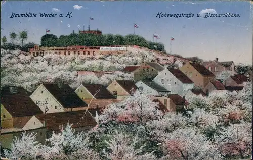 Werder (Havel) Hohewegstraße und Bismarckhöhe - Baumblüte 1929 