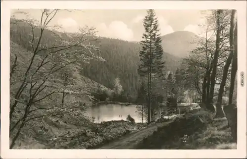 Ansichtskarte Oberhof (Thüringen) Partie am Silberteich 1951 