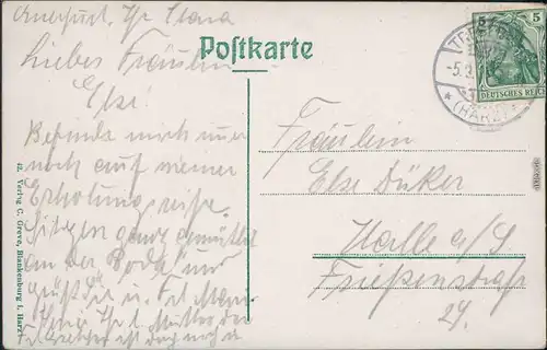 Ansichtskarte Treseburg Bodepartie - Villen 1914 