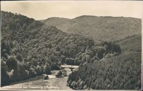 Ansichtskarte Treseburg Blick ins Wilhelmstal 1932 
