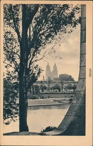 Ansichtskarte Werder-Magdeburg Partie am Adolf Mittag See 1939 
