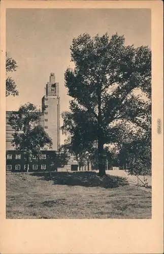 Ansichtskarte Werder-Magdeburg Stadthalle und Ausstellungsturm 1930 