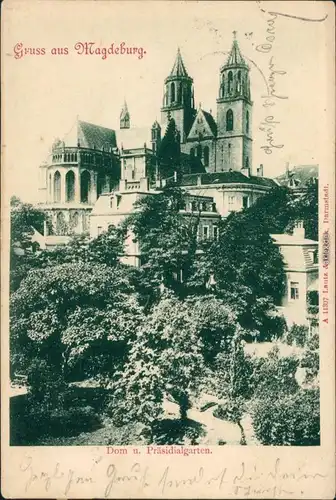 Ansichtskarte Magdeburg Dom und Präsidialgarten 1900