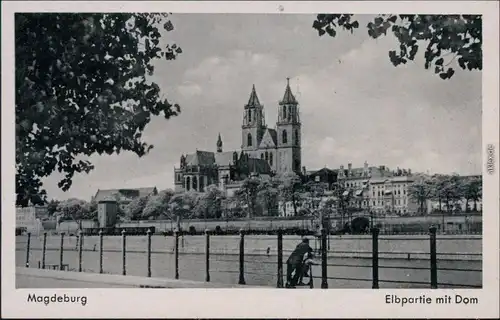 Ansichtskarte Magdeburg Elbpartie mit Dom 1955