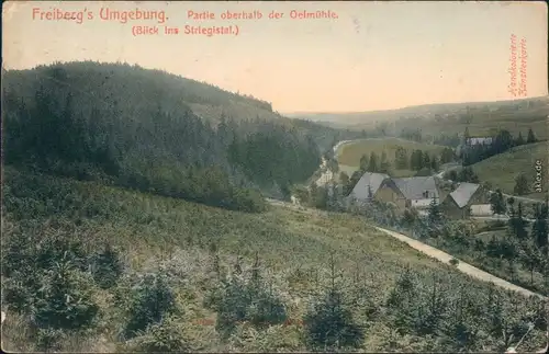 Ansichtskarte Freiberg (Sachsen) Partie oberhalb der Ölmühle 1914 