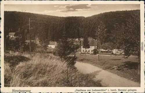 Hirschsprung-Altenberg (Erzgebirge) Gastahaus zur Ladenmühle im Bielatal 1929 