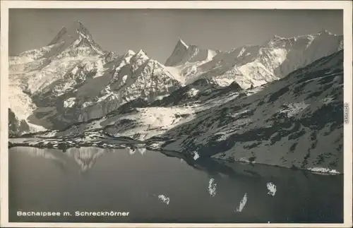 Ansichtskarte Grindelwald Bachalpsee mit Schreckhörner 1930