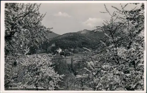 Ansichtskarte Badenweiler Haus Waldeck 1941