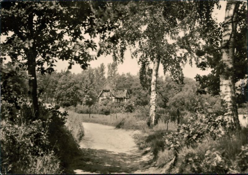 Ansichtskarte SchmannewitzDahlen Weg zur Försterei und zum Alten Teich
