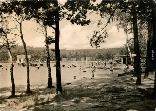 Ansichtskarte Schmannewitz-Dahlen Waldbad 1968