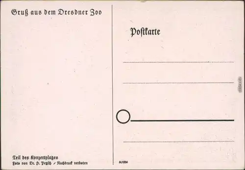 Ansichtskarte Dresden Zoologischer Garten: Konzertplatz 1940