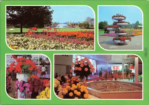Ansichtskarte Erfurt Internationale Gartenbauausstellung der DDR (IGA) 1985