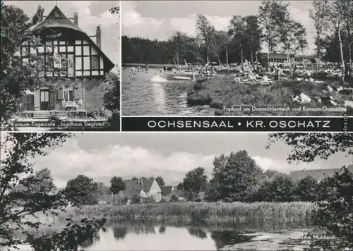 Ochsensaal-Dahlen Dammühlenteich Freibad / Campingplatz, Gaststätte 1968