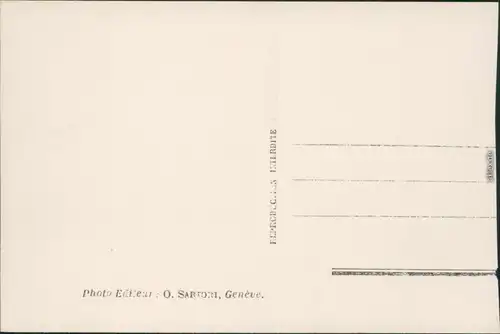 Ansichtskarte Genf Genève la Rade et le Mont-Blanc/Panorama-Ansicht 1970