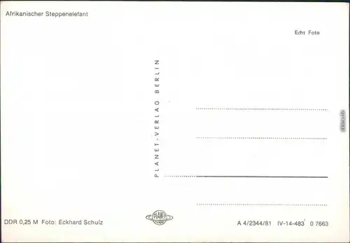 Ansichtskarte  Afrikansicher Steppenelefant 1981