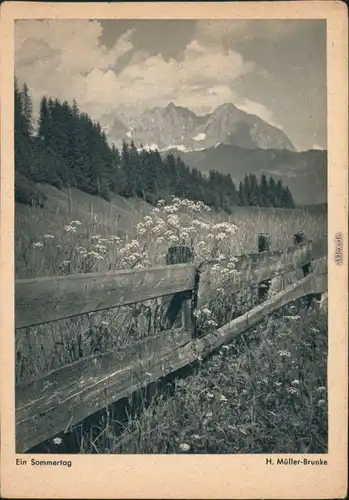 Ansichtskarte München Ein Sommertag mit Blick auf Bergmassiv 1954