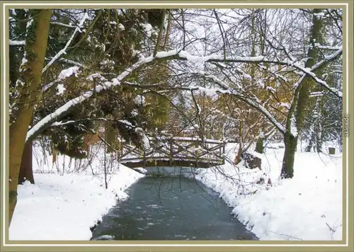 Ansichtskarte Bad Liebenwerda Brücke im Garten der Sinne 2000