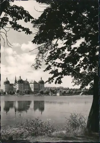 Ansichtskarte Moritzburg Kgl. Jagdschloss 1960