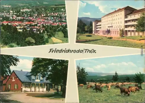 Friedrichroda Panorama, FDGB-Heim, Heuberghaus, Am Rennsteig - Rinderherde 1963