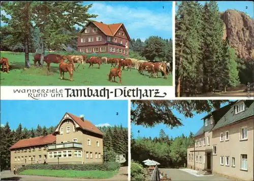 Tambach-Dietharz Berghotel Ebertswiese, Falkenstein,   HOG Waldbaude 1973