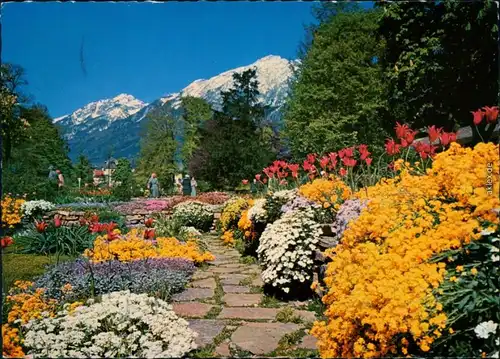 Ansichtskarte Bad Reichenhall Königlicher Kurpark mit vielen Blumen 1965