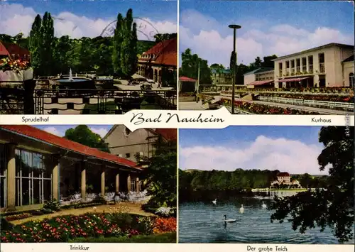 Ansichtskarte Bad Nauheim Sprudelhof, Kurhaus, Trinkkur, Der große Teich 1971