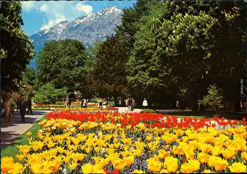 Ansichtskarte Bad Reichenhall Königlicher Kurpark 1980