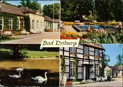 Bad Driburg Kurhaus, Kurpark - Brunnen - Schwäne, Fachwerkhaus 1962