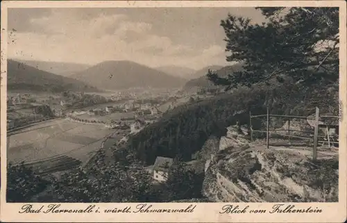 Ansichtskarte Bad Herrenalb Panorama-Ansicht - Blick vom Falkenstein 1929 