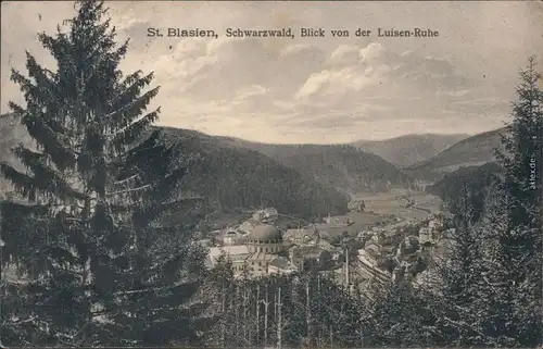 St. Blasien Panorama-Ansicht mit Dom - Blick von der Luisen-Ruhe 1913