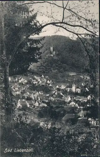 Ansichtskarte Bad Liebenzell Panorama-Ansicht 1912