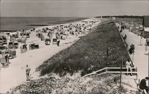 Ansichtskarte Graal-Müritz Strand mit vielen Strandkörben 1963