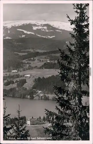 Ansichtskarte Titisee Panorama-Ansicht 1954
