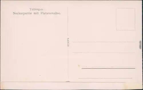 Ansichtskarte Tübingen Platanenallee mit Neckarpartie 1922 