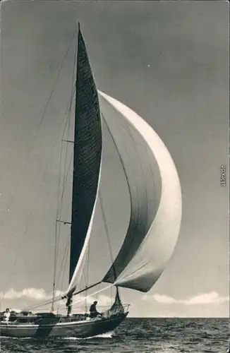 Ansichtskarte  Schiffe/Schifffart - Segelschiffe/Segelboote 1962