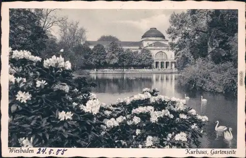 Ansichtskarte Wiesbaden Kurhaus - Gartenseite 1955