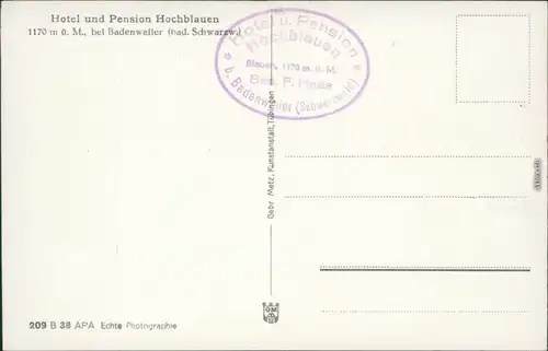 Schliengen  Hotel und Pension Hochblauen aufs Bergmassiv 1930