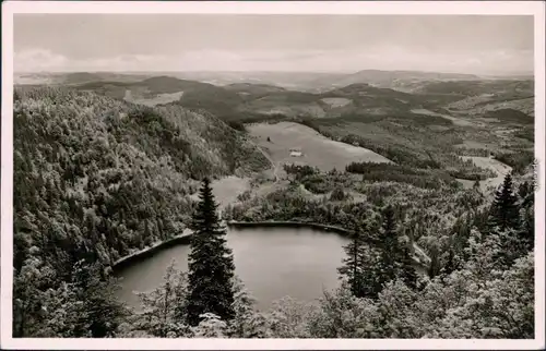 Ansichtskarte Feldberg Panorama-Ansicht vom Hotel Feldberghof 1953