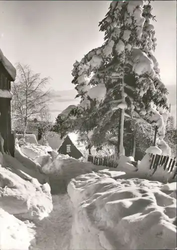 Ansichtskarte Benneckenstein Am Wildenberg - Winter 1979