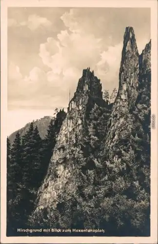 Ansichtskarte Thale (Harz) Hirschgrund, Hexentanzplatz 1956