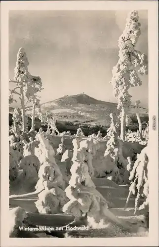 Ansichtskarte Oybin Hochwald/Hvozd im Winter 1958